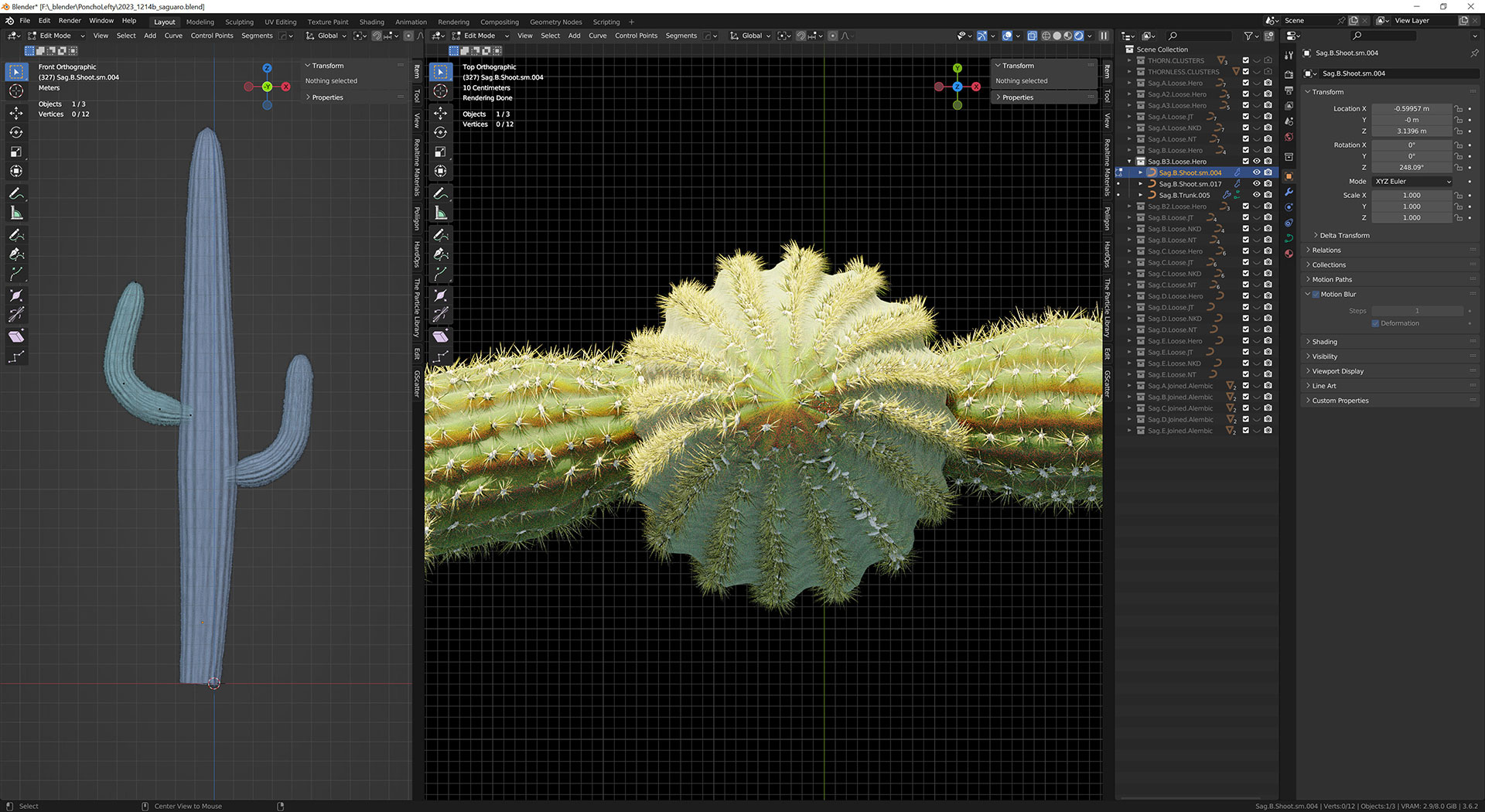 Blender - Screenshot of Saguaro development