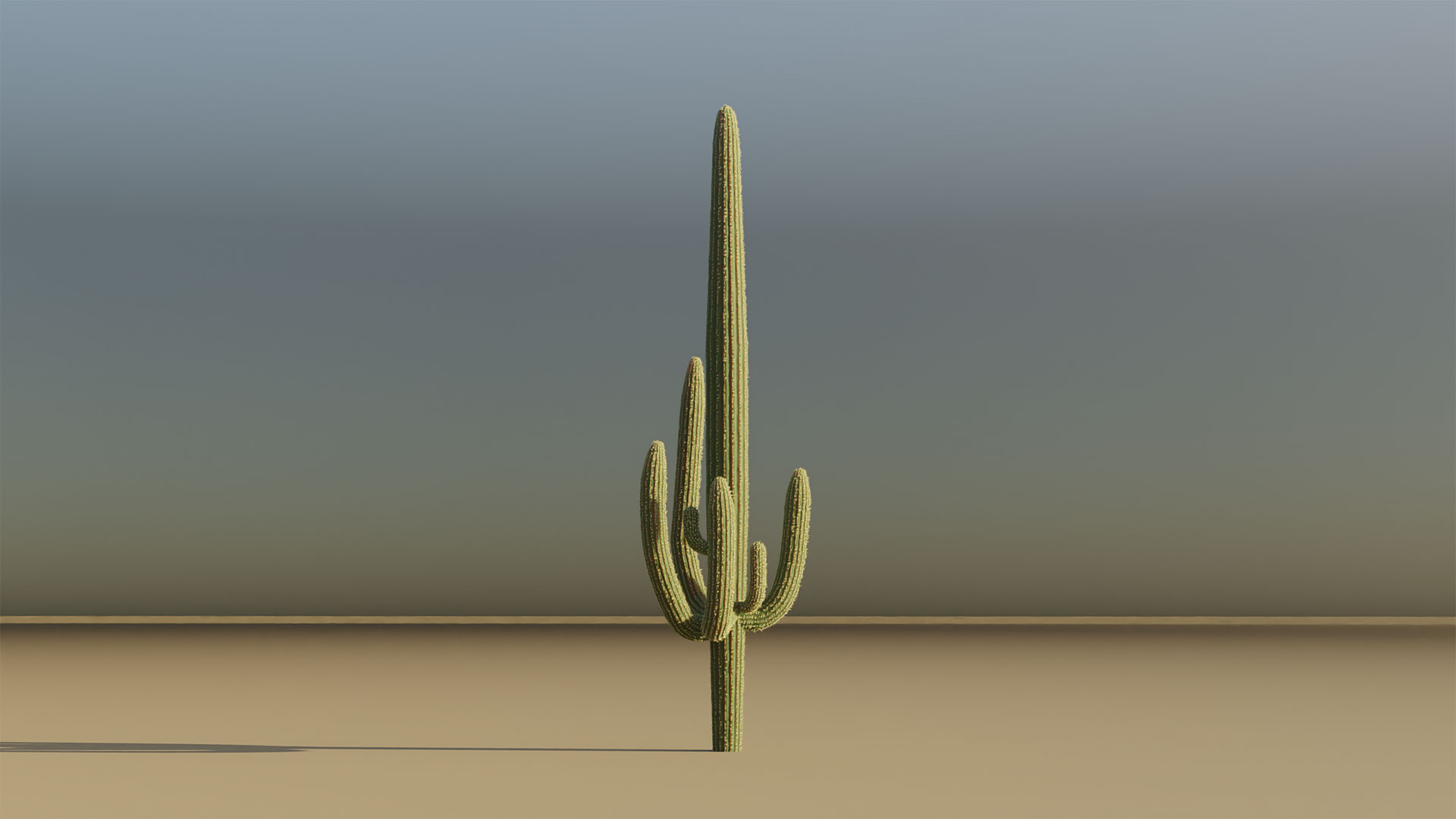 Blender - Saguaro Development
