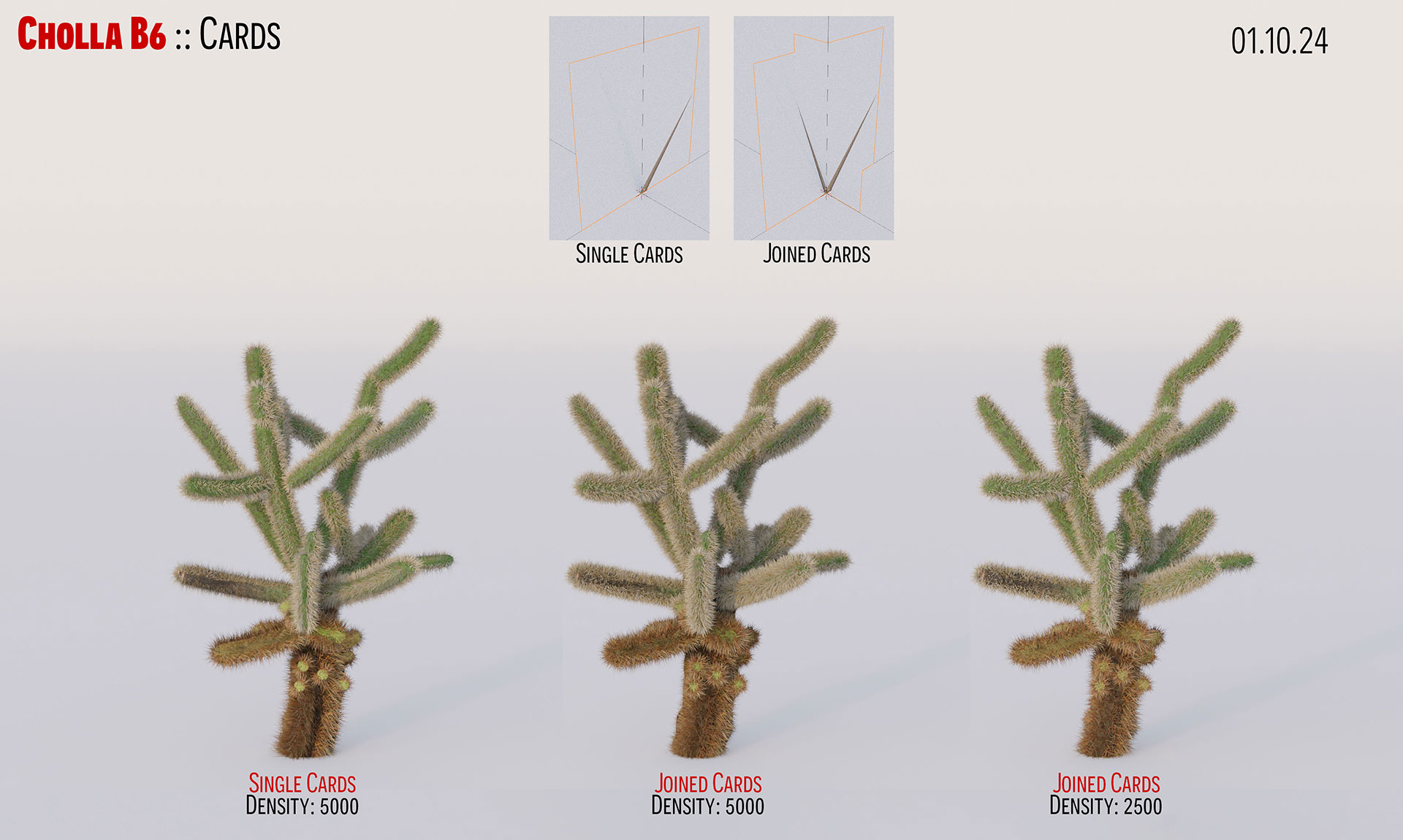Blender - Cholla Cactus - Deliverable Notes